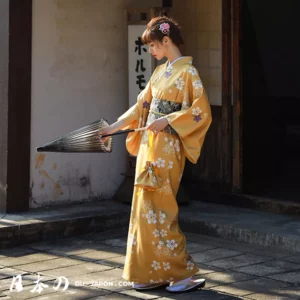 Femme en kimono élégant avec parasol, devant un bâtiment traditionnel japonais, ambiance zen.